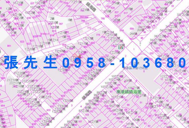 東港透天法拍-3