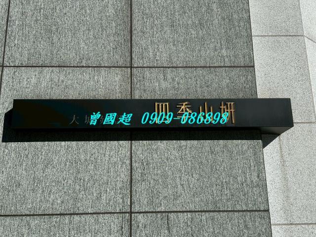 台中法拍別墅-2