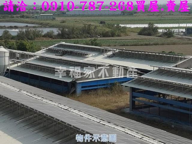 台南將軍雞舍-3