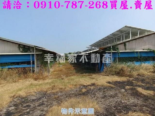 台南將軍雞舍-4