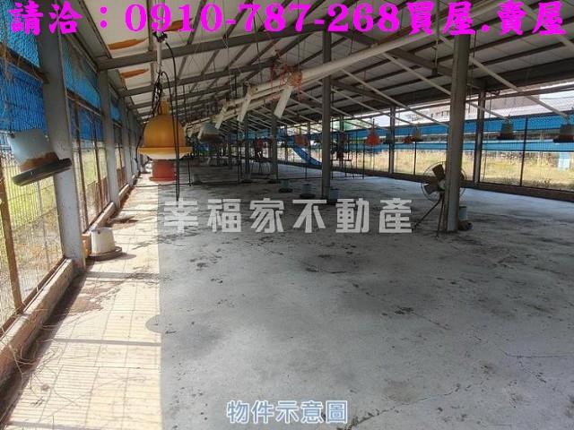 台南將軍雞舍-5