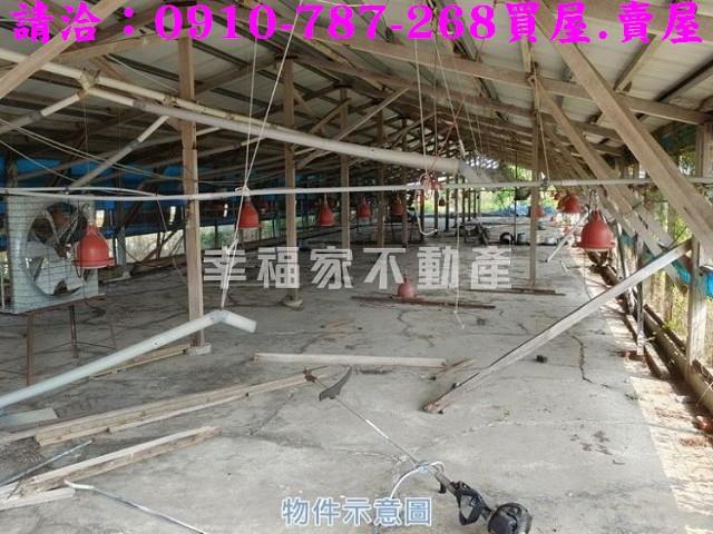 台南將軍雞舍-6