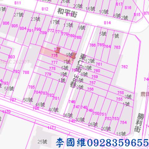 東山法拍透天-2