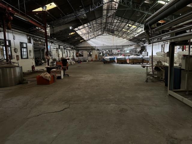 新北五股廠房-4