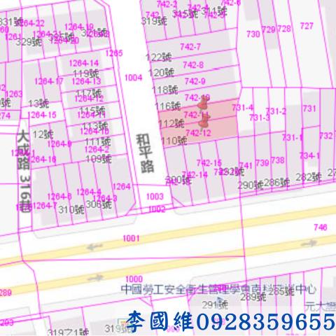 台南善化拍賣透天-2