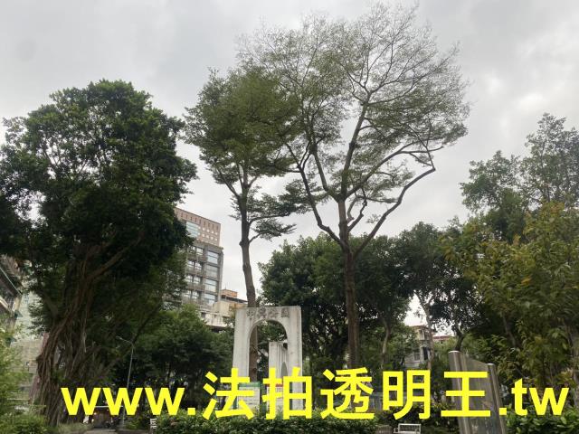 台北大樓拍賣-7