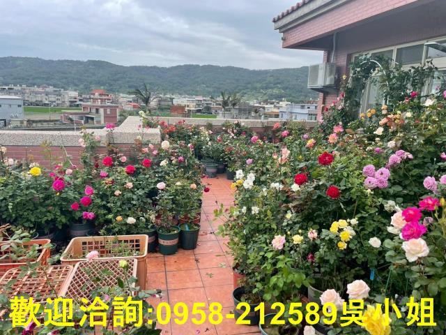 新竹竹北農舍-12