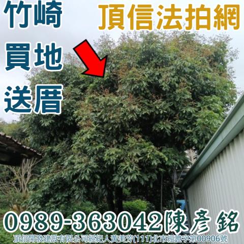 嘉義竹崎拍賣透天-4