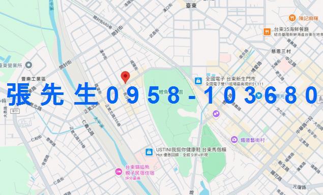 台東台東市法拍透天-1