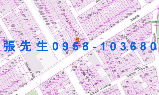 台東台東市法拍透天-2