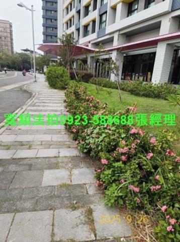 新竹竹東拍賣大樓-6