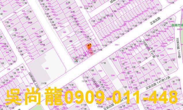 台東法拍透天-2