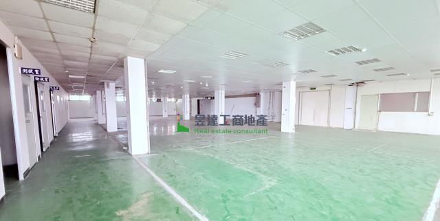 桃園中壢廠房-2