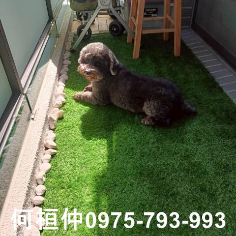 磐馥森語頭份2房頭份精品小宅平面車位輕屋齡