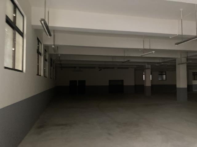 桃園八德廠房-2