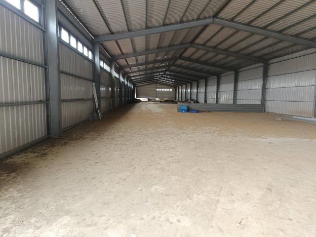 桃園觀音廠房-0