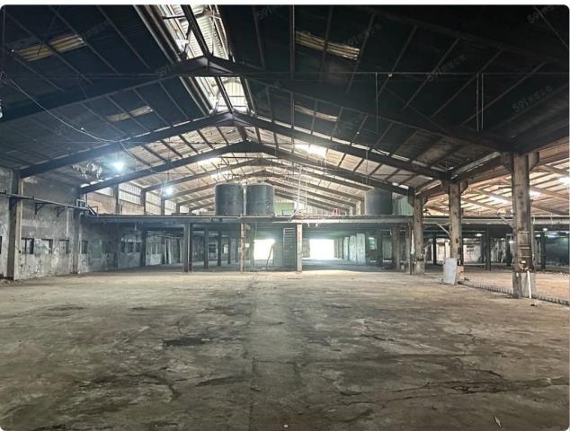 桃園中壢廠房-1