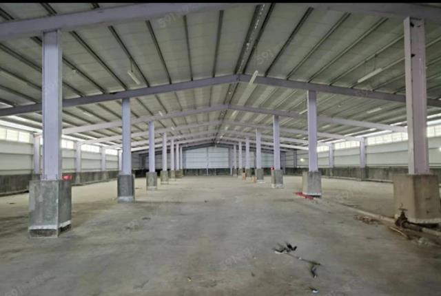 桃園觀音廠房-0