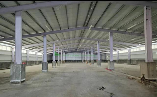 桃園觀音廠房-1