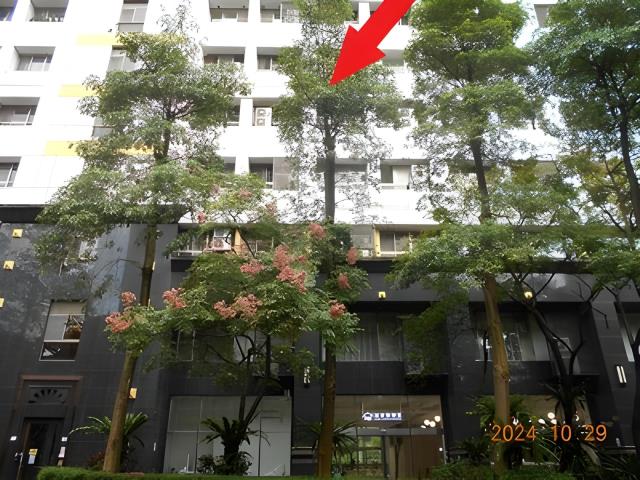 信義區信義路五段109號5樓12時代廣場