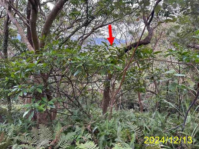 台北士林公寓拍賣-7