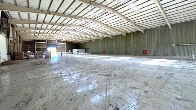 桃園新屋廠房-1