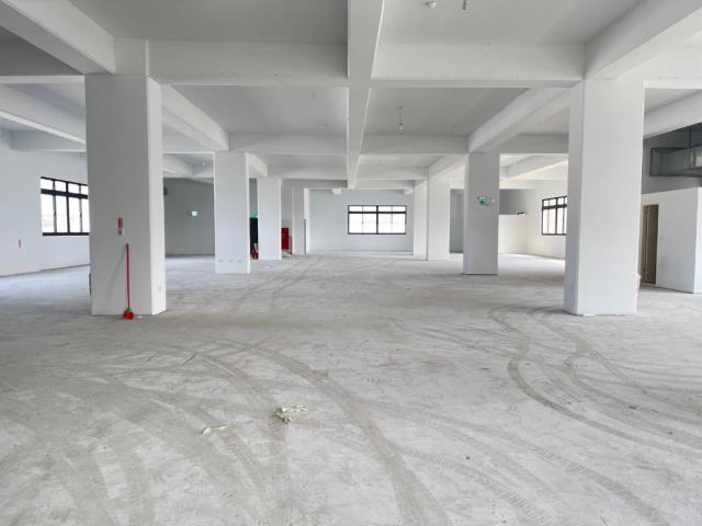 桃園中壢廠房-4