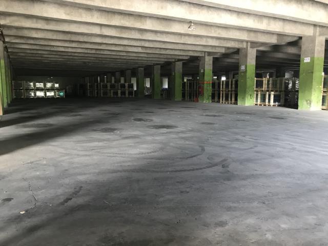 苗栗頭份廠房-3