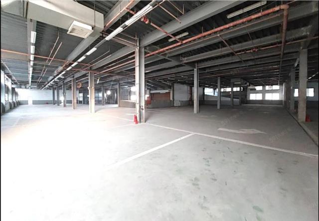 桃園蘆竹廠房-3