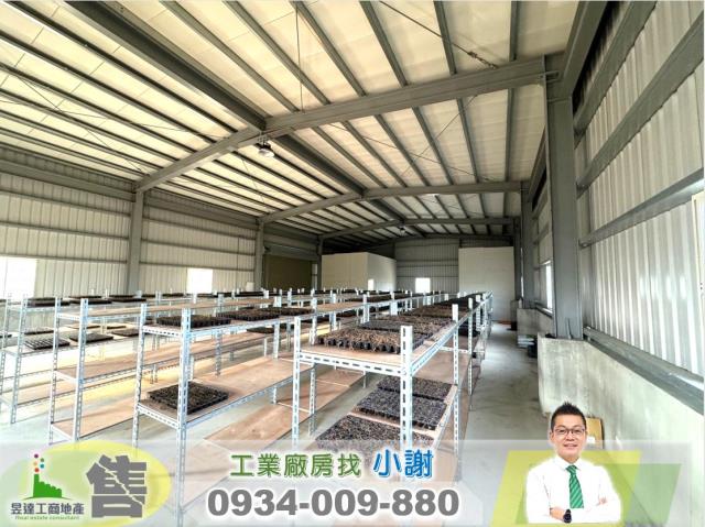 桃園廠房-0