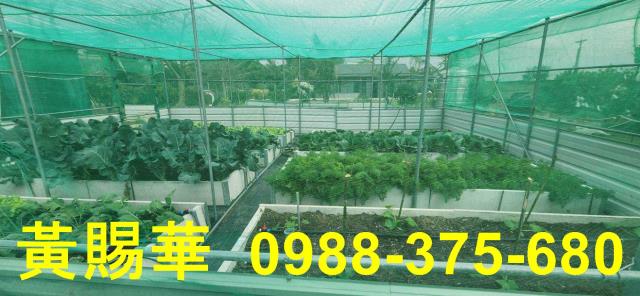 桃園新屋資材室-7