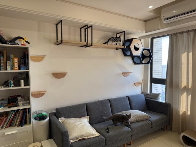 桃園中壢大樓-0