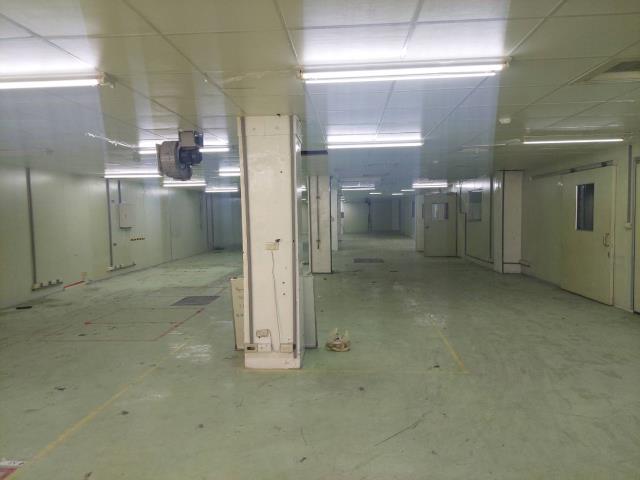 新北五股廠房-4