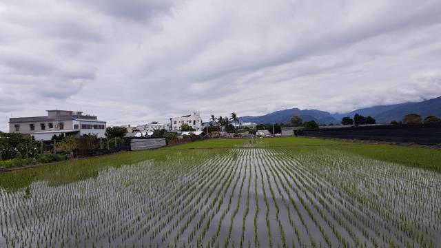 台東台東市透天-2