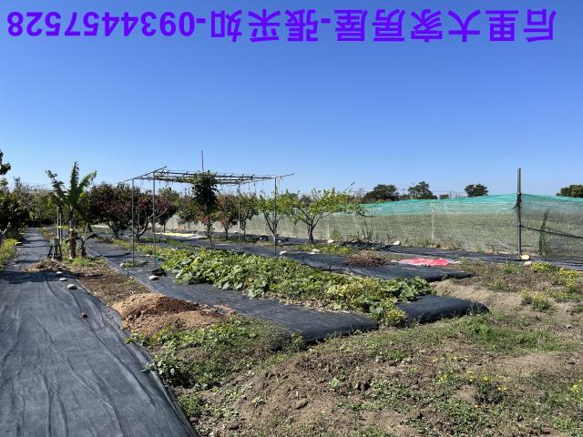 台中后里資材室-2