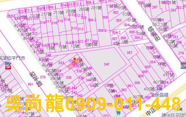 花蓮市法拍透天-4