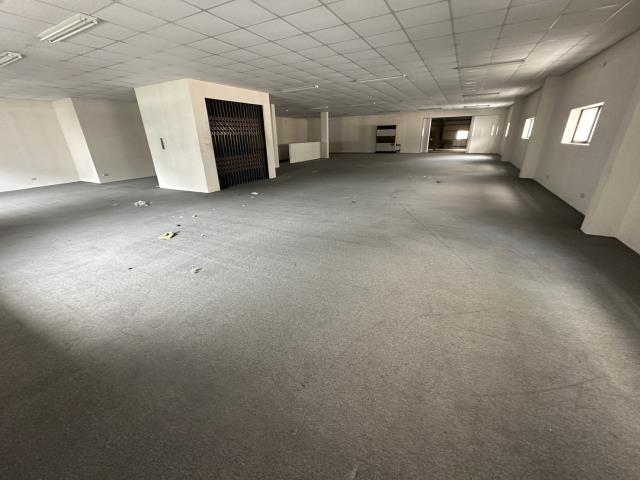新北五股廠房-1