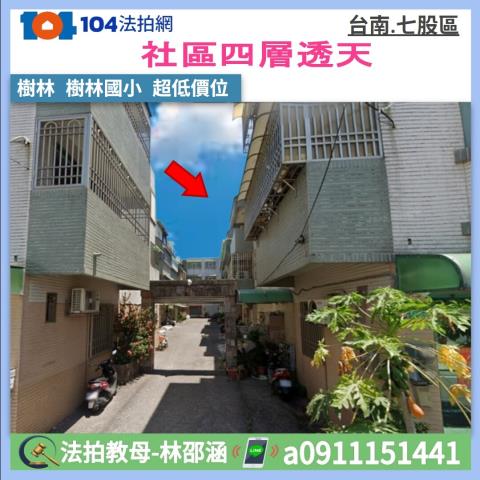 台南市七股區樹林