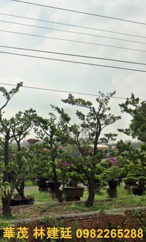 鹽水法拍農舍-4