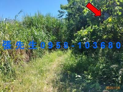 台中豐原法拍透天-6