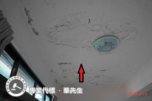 桃園平鎮透天拍賣-2