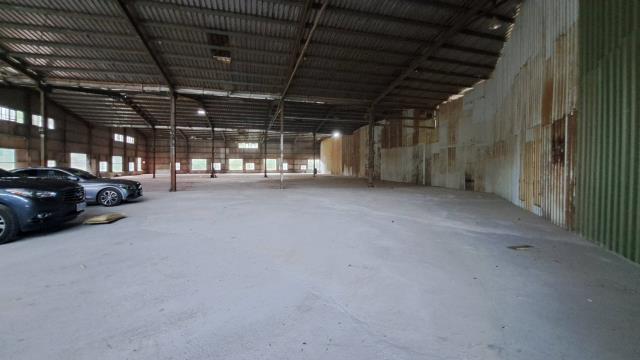 八里廠房出租出租八里廠房租八里廠房八里廠房租