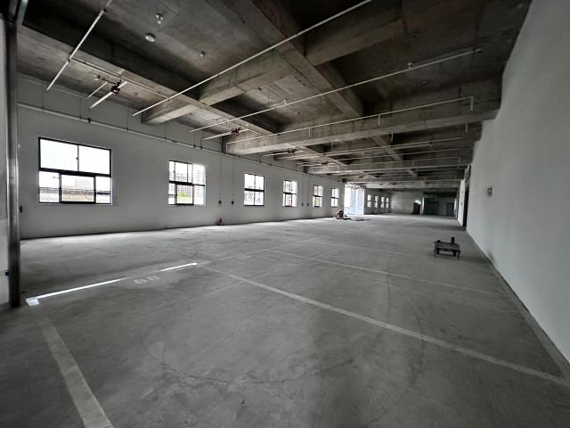 新北新莊廠房-2