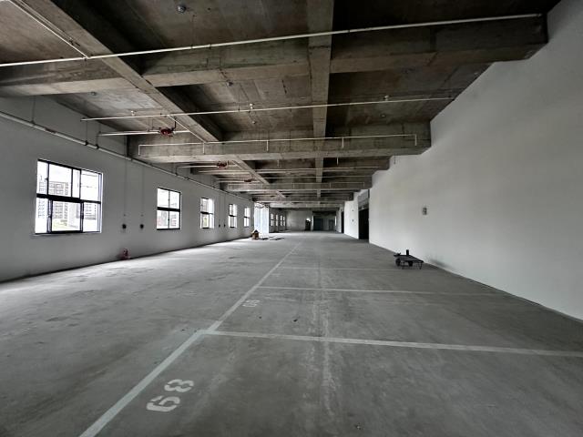 新北新莊廠房-4