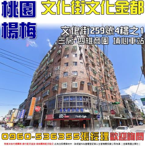 桃園楊梅法拍華廈-0