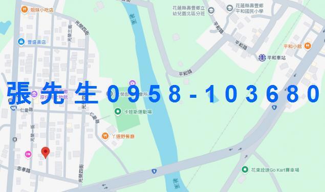 壽豐法拍透天-1