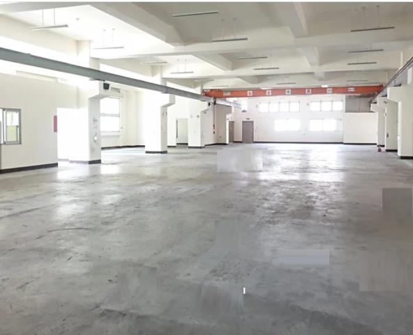 新北五股廠房-2