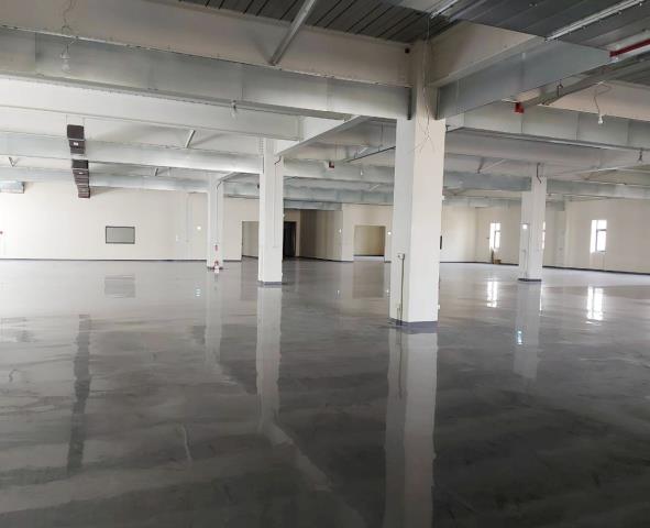 桃園楊梅廠房-0