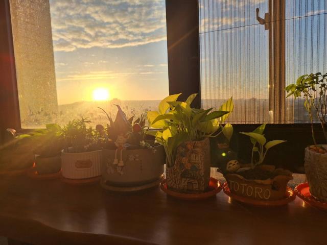 桃園龍潭大樓-12