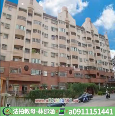 大樹法拍大樓-2